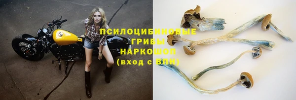 COCAINE Каменск-Шахтинский