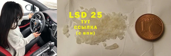 a pvp Инсар