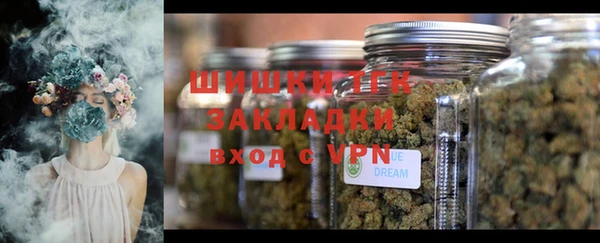 твердый Каменногорск