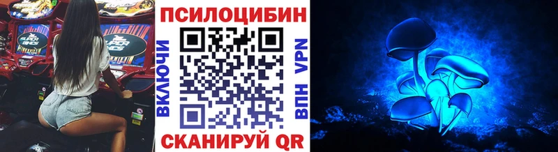 мега зеркало  где можно купить наркотик  Комсомольск  Галлюциногенные грибы MAGIC MUSHROOMS 
